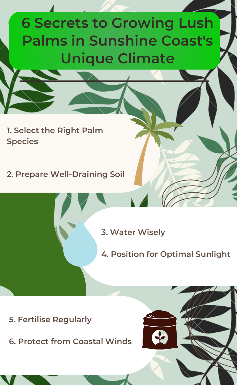 6 Secrets to Growing Lush Palms in Sunshine Coast's Unique Climate