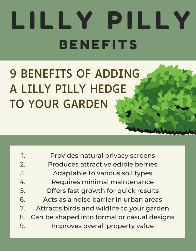 9 Benefits of Adding a Lilly Pilly Hedge to Your Garden
