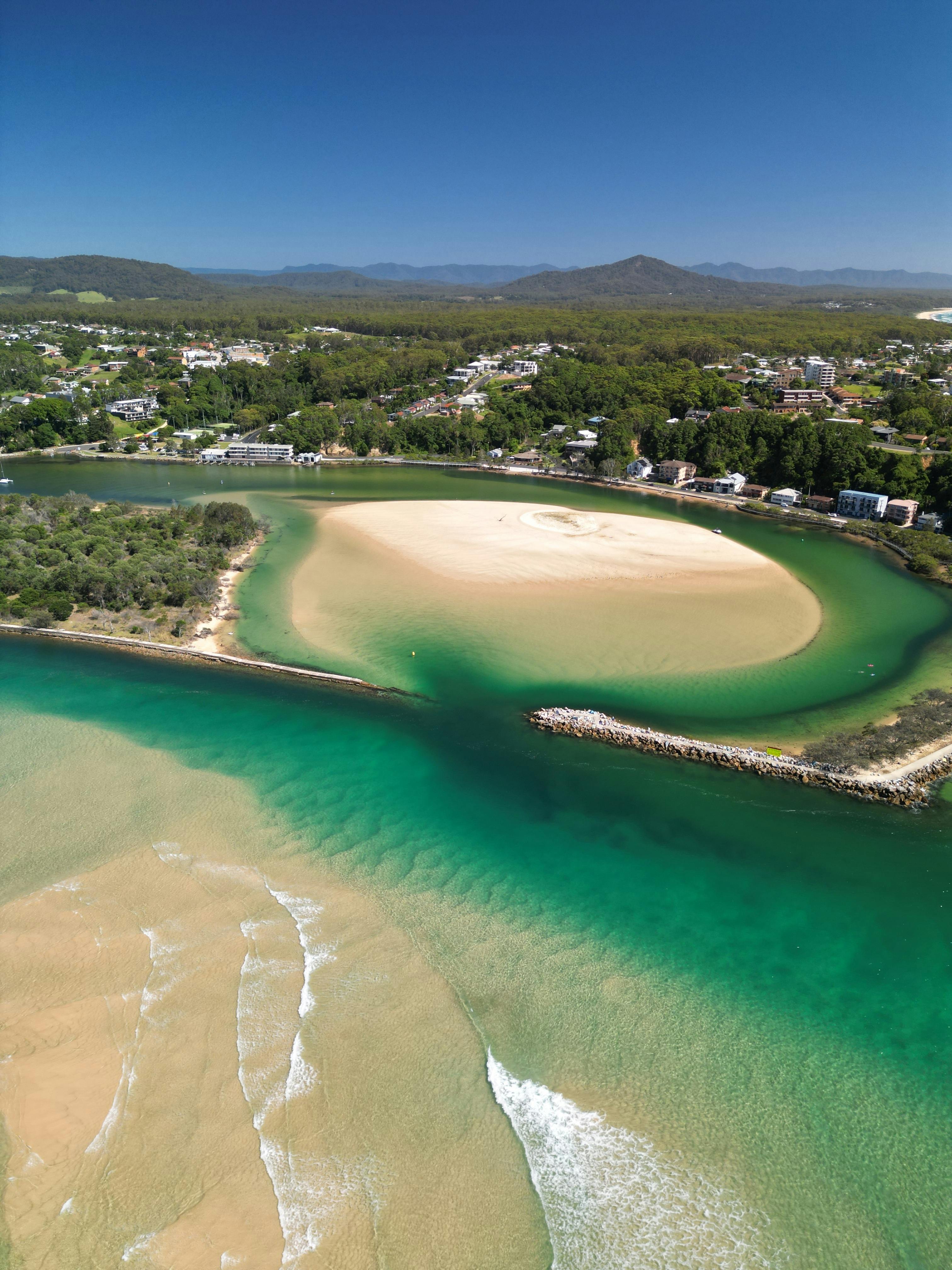 Noosa Plants: Your Guide to Thriving Greenery in Noosa