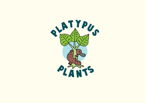 Platypus Plants logo