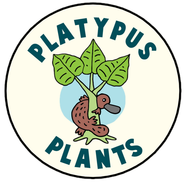 Platypus Plants