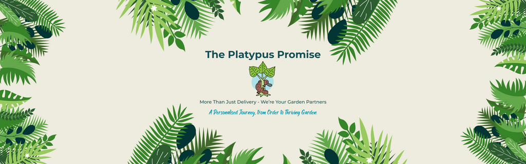 Platypus Plants